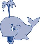 whale
