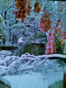 snow