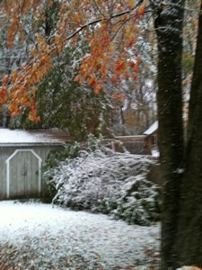 snowfall