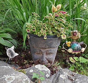a head in the shade garden