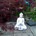 buddha